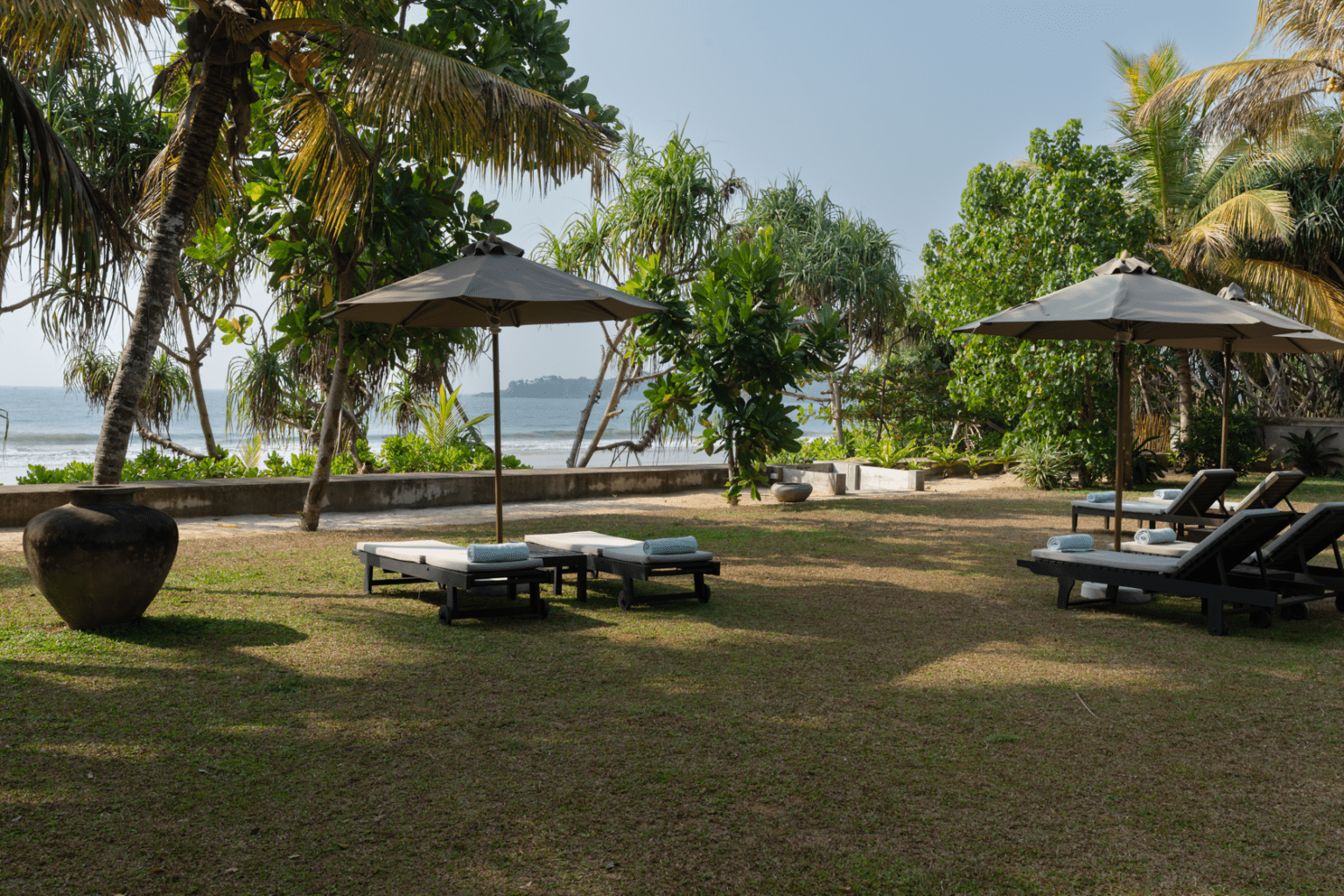 A lawn with sun loungers and dark umbrellas under palms, running to the sea